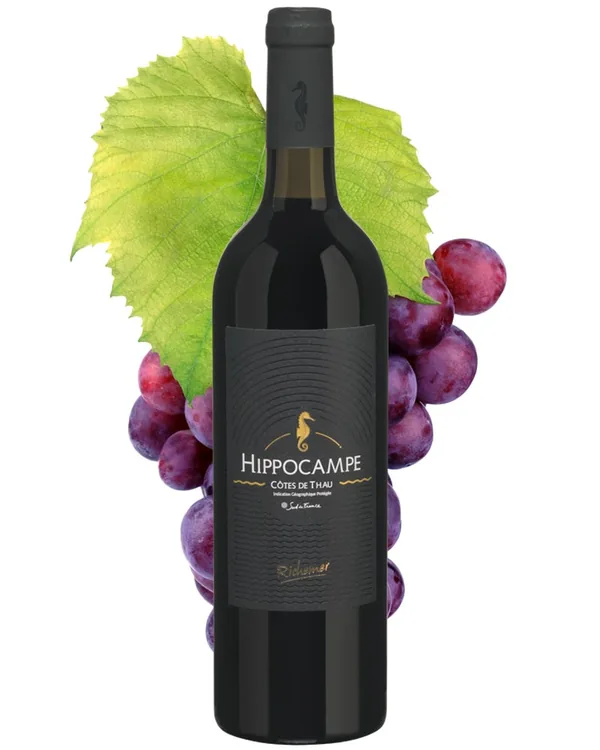 Bouteille de Hippocampe — CAVES RICHEMER AGDE-MARSEILLAN, vin blanc/rosé/rouge