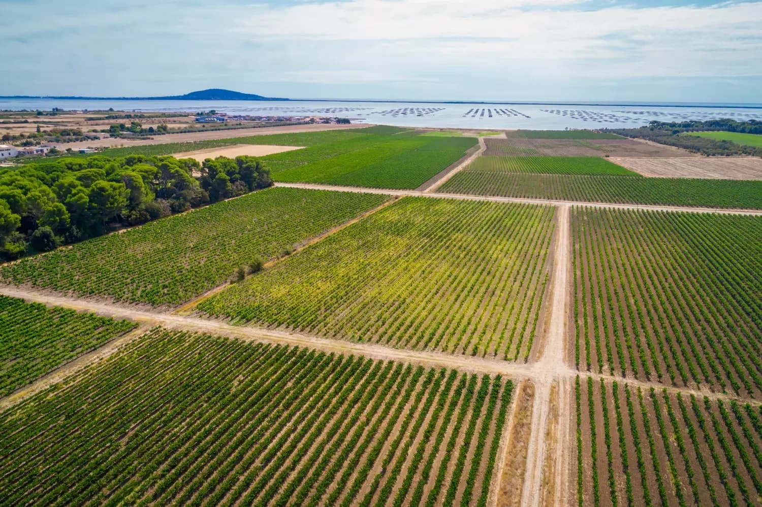 DOMAINE DE BELLE MARE — paysage du domaine