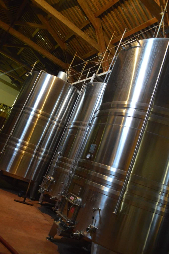 Cuves inox verticales alignees dans le chai, lumiere rasante sur l'acier. Chai moderne, propre et net.