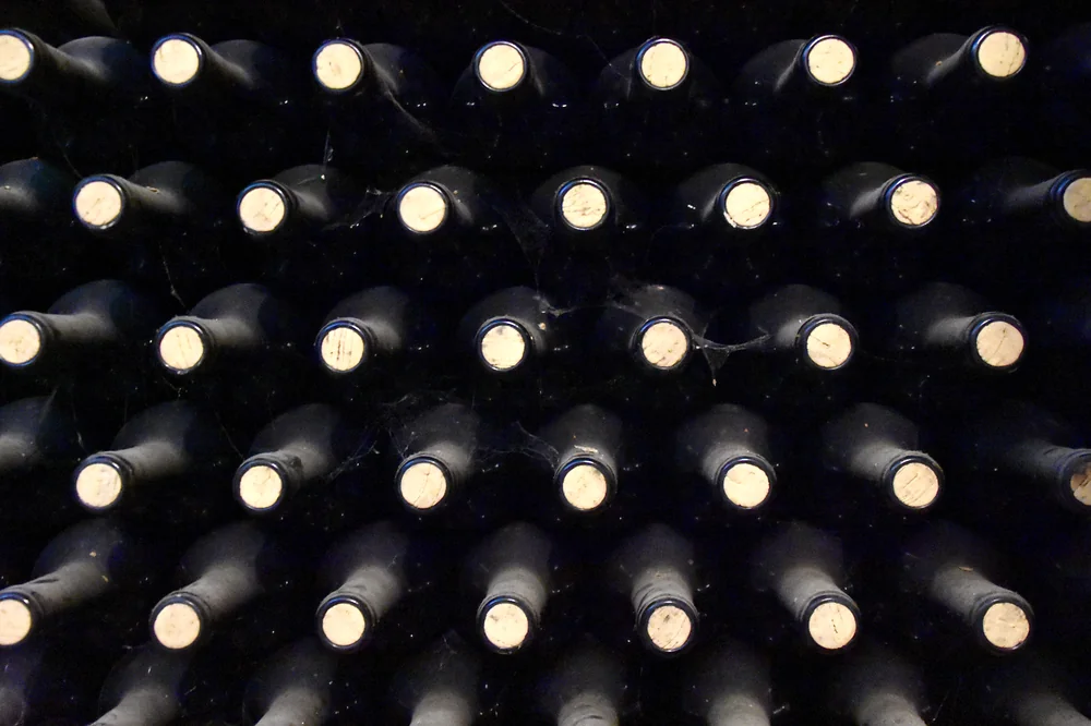 Mur de bouteilles vieillissant couchees sur le flanc dans la cave, capsules tournees vers l'objectif, fines toiles d'araignee qui temoignent du temps de garde. Ambiance authentique de chai / cave de vieillissement.